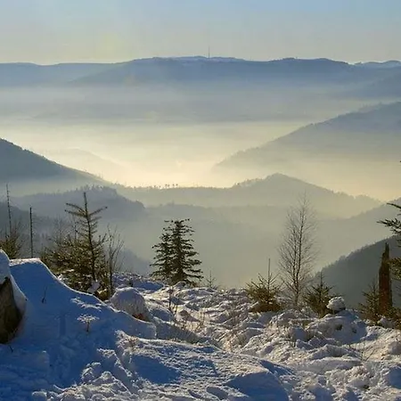 Hotel Nashira Kurpark 4*