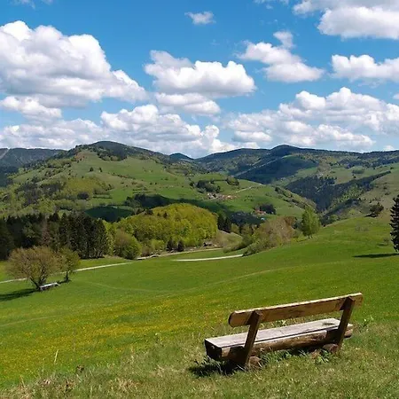 Nashira Kurpark 4* Bad Herrenalb