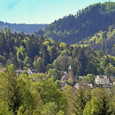 Hotel Nashira Kurpark 4*