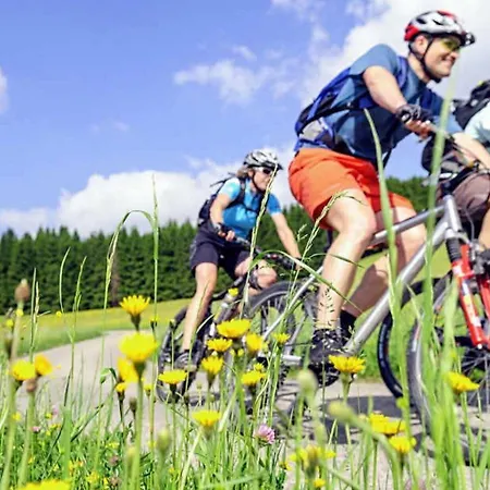 Nashira Kurpark 4* Bad Herrenalb