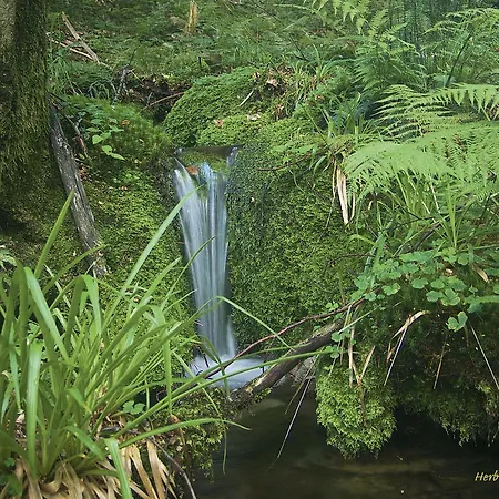 Hotel Nashira Kurpark