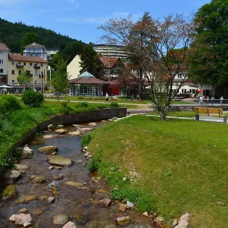 Nashira Kurpark Hotel