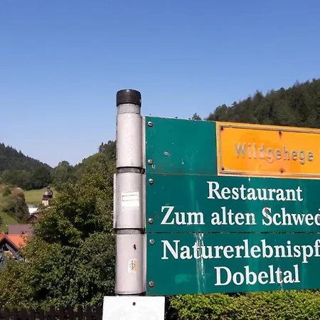 Hotel Nashira Kurpark 4*