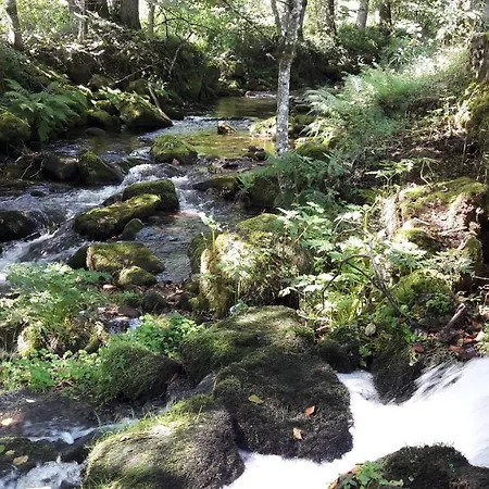 Nashira Kurpark 4* Bad Herrenalb