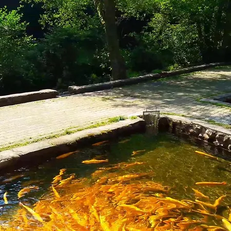 Nashira Kurpark Bad Herrenalb