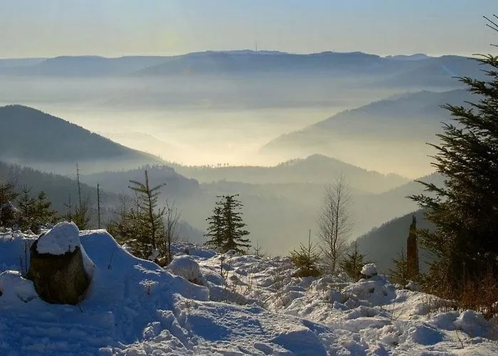 Hotel Nashira Kurpark 4*