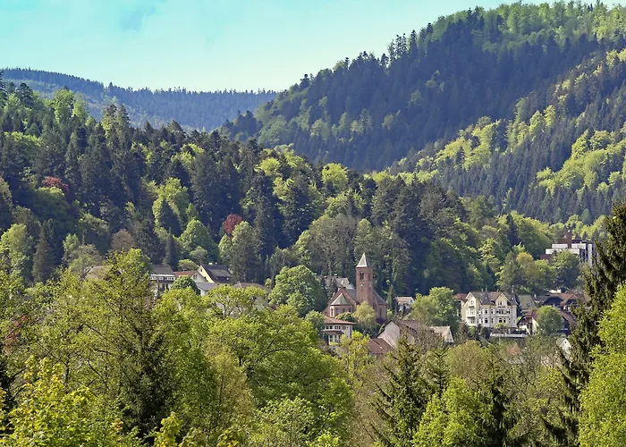 Hotel Nashira Kurpark 4*