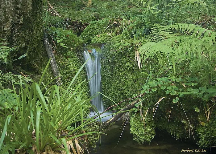 Hotel Nashira Kurpark