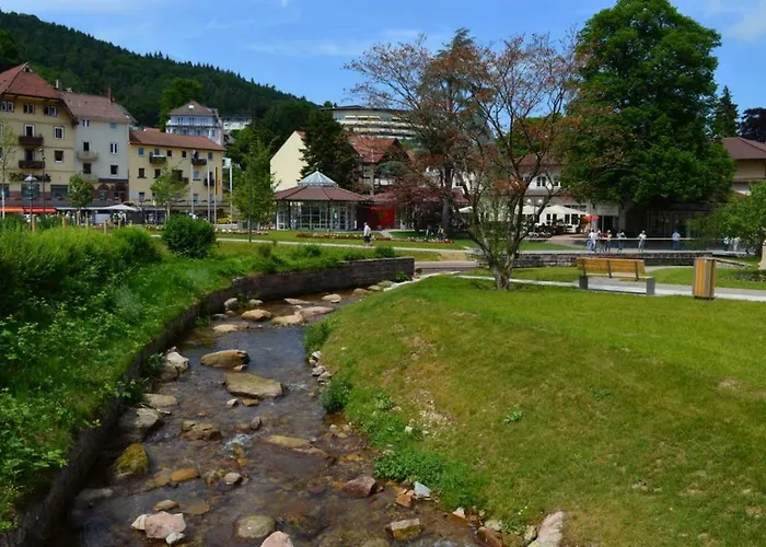 Nashira Kurpark Hotel