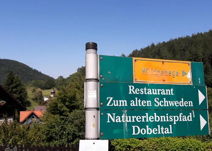 Hotel Nashira Kurpark 4*