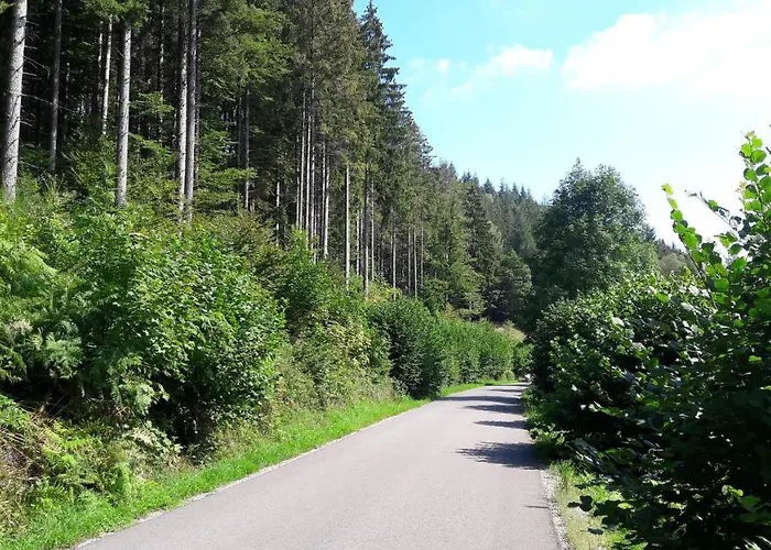 Nashira Kurpark Bad Herrenalb