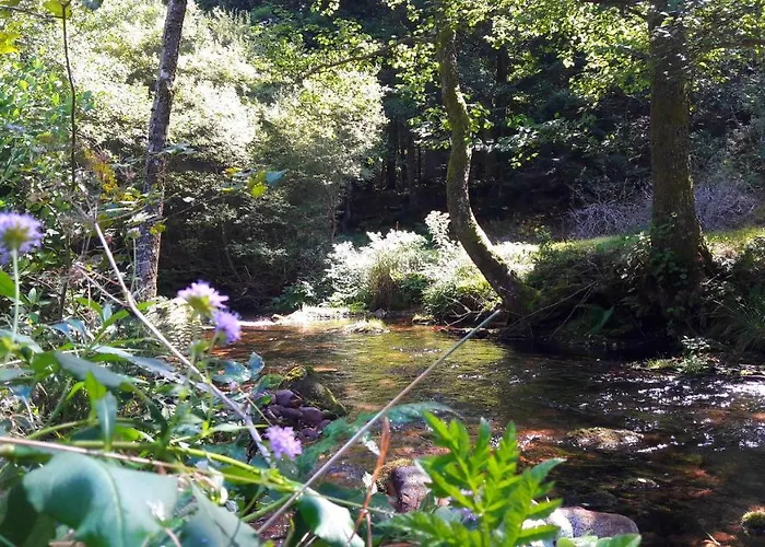 Nashira Kurpark Hotel