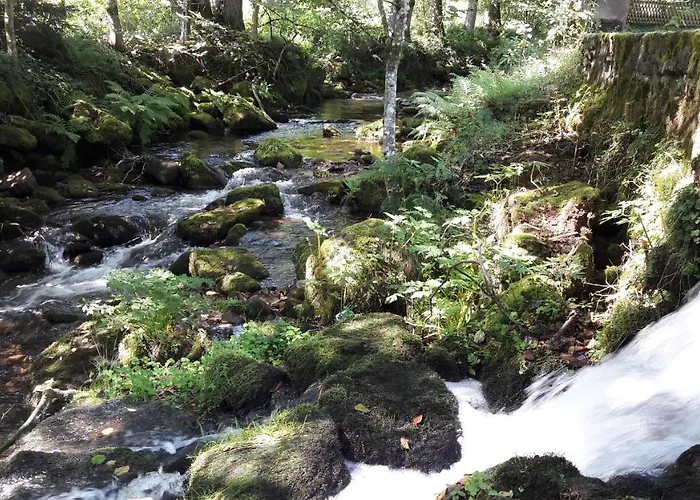 Nashira Kurpark 4* Bad Herrenalb