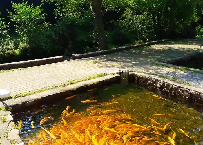 Nashira Kurpark Bad Herrenalb